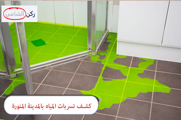 كشف تسربات المياه بالمدينة المنورة