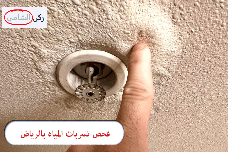 فحص تسربات المياه بالرياض
