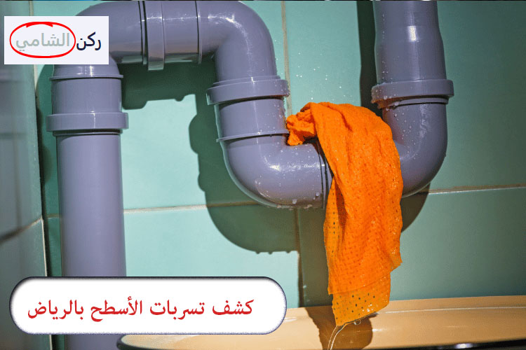 كشف تسربات الأسطح بالرياض