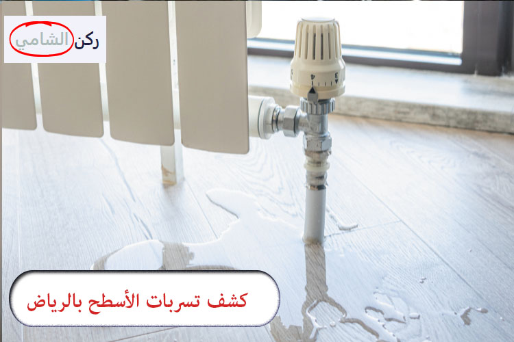 كشف تسربات الأسطح بالرياض