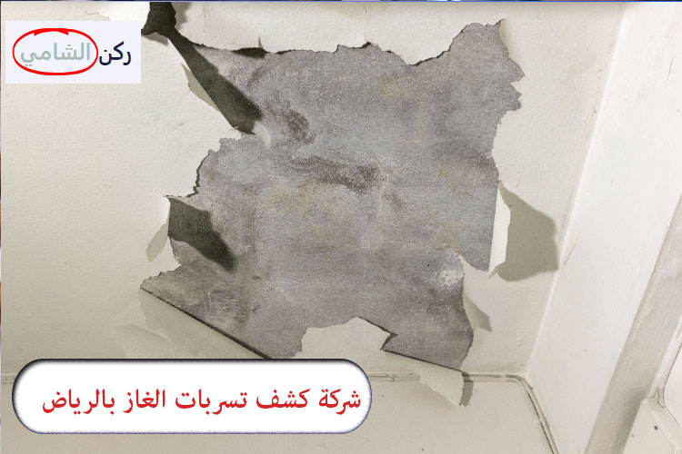 كشف تسربات المياه في الخزانات بالرياض